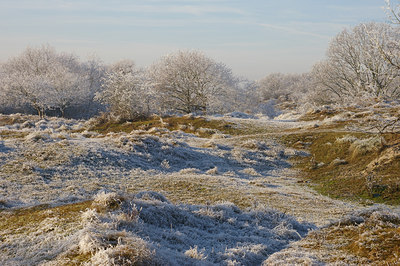 BUITEN BEELD Foto: 16028