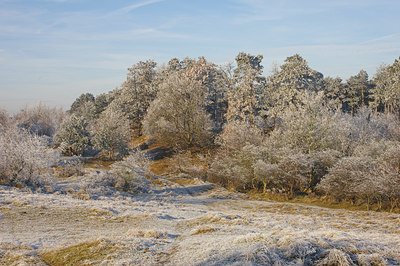BUITEN BEELD Foto: 16030