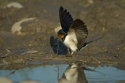 BUITEN BEELD Foto: 16053