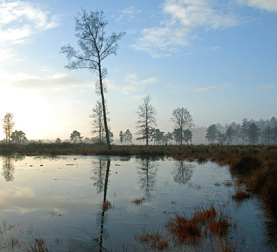 BUITEN BEELD Foto: 16056