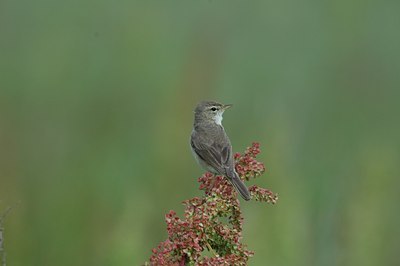 BUITEN BEELD Foto: 16057