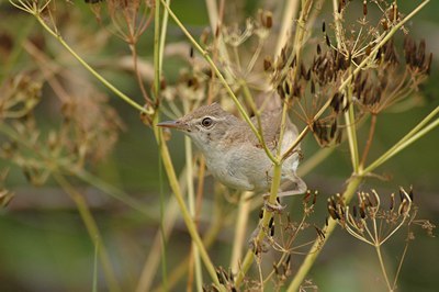 BUITEN BEELD Foto: 16059