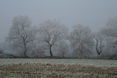 BUITEN BEELD Foto: 16184