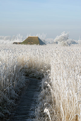 BUITEN BEELD Foto: 16191