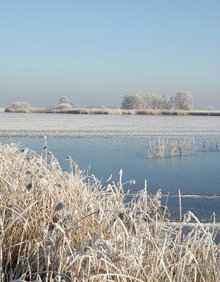 BUITEN BEELD Foto: 16192