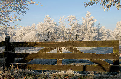 BUITEN BEELD Foto: 16195