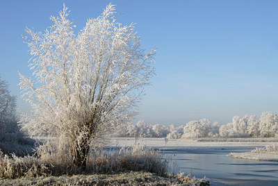 BUITEN BEELD Foto: 16200