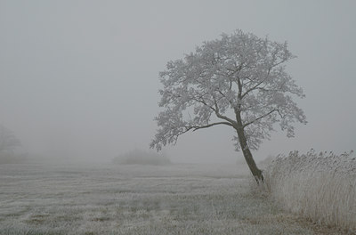 BUITEN BEELD Foto: 16210