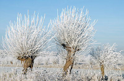 BUITEN BEELD Foto: 16226