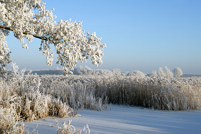 BUITEN BEELD Foto: 16238