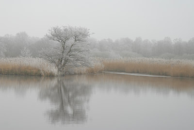 BUITEN BEELD Foto: 16243