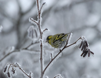 BUITEN BEELD Foto: 16249