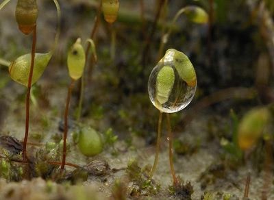 BUITEN BEELD Foto: 16253