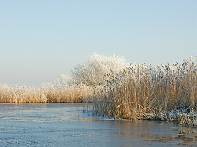 BUITEN BEELD Foto: 16257