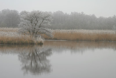 BUITEN BEELD Foto: 16280