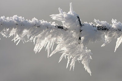 BUITEN BEELD Foto: 16287