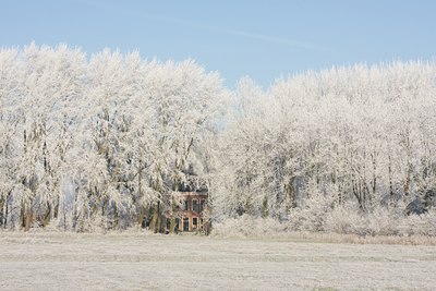 BUITEN BEELD Foto: 16290