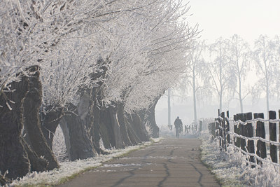 BUITEN BEELD Foto: 16292