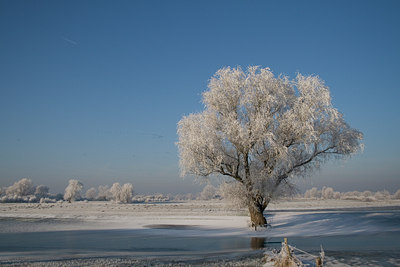 BUITEN BEELD Foto: 16334