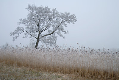 BUITEN BEELD Foto: 16376