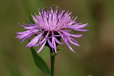 BUITEN BEELD Foto: 16403