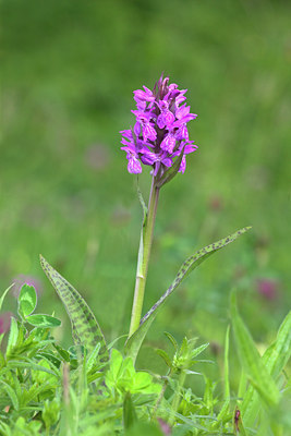BUITEN BEELD Foto: 16412