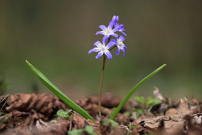 BUITEN BEELD Foto: 16427