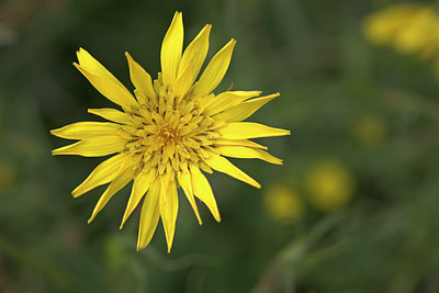 BUITEN BEELD Foto: 16453