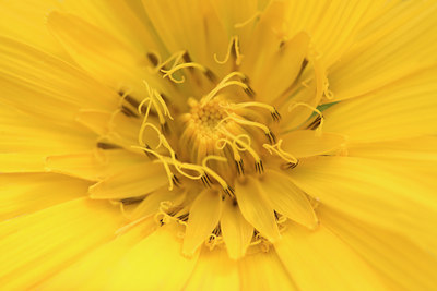 BUITEN BEELD Foto: 16481