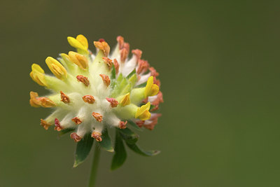 BUITEN BEELD Foto: 16491