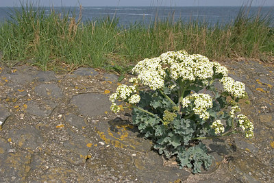 BUITEN BEELD Foto: 16494