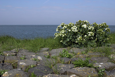 BUITEN BEELD Foto: 16498