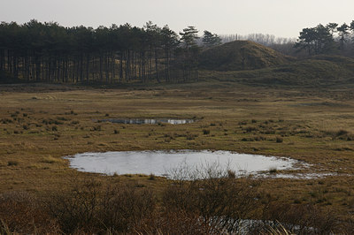 BUITEN BEELD Foto: 16539