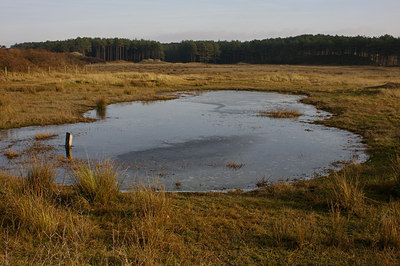 BUITEN BEELD Foto: 16540