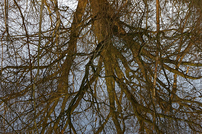 BUITEN BEELD Foto: 16547