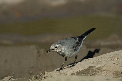 BUITEN BEELD Foto: 16553