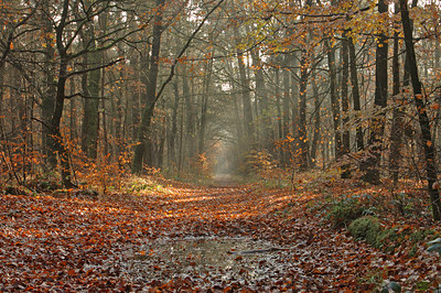 BUITEN BEELD Foto: 16620