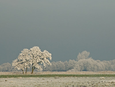 BUITEN BEELD Foto: 16624