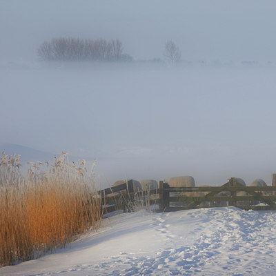 BUITEN BEELD Foto: 16631