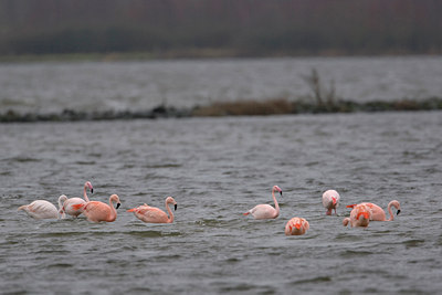 BUITEN BEELD Foto: 16641