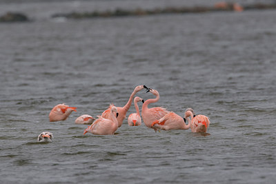 BUITEN BEELD Foto: 16643