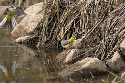 BUITEN BEELD Foto: 16653