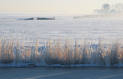 BUITEN BEELD Foto: 16666