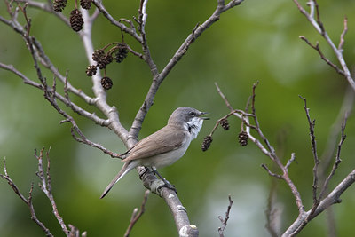 BUITEN BEELD Foto: 16676