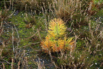 BUITEN BEELD Foto: 16764