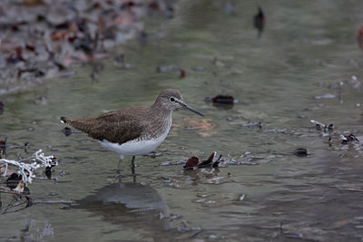 BUITEN BEELD Foto: 16775