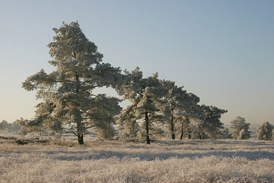 BUITEN BEELD Foto: 16809