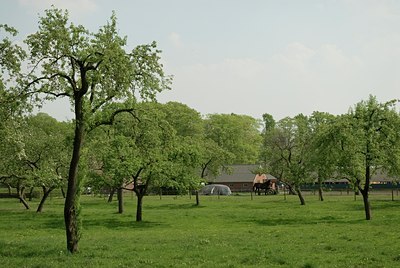 BUITEN BEELD Foto: 16859