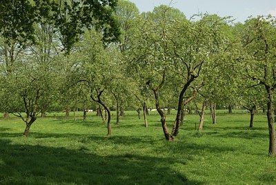 BUITEN BEELD Foto: 16860