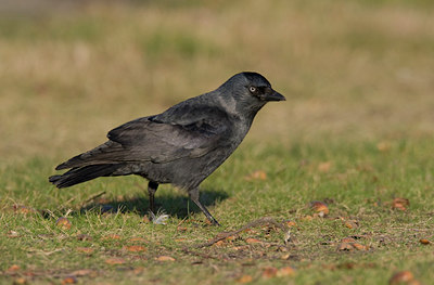 BUITEN BEELD Foto: 16906